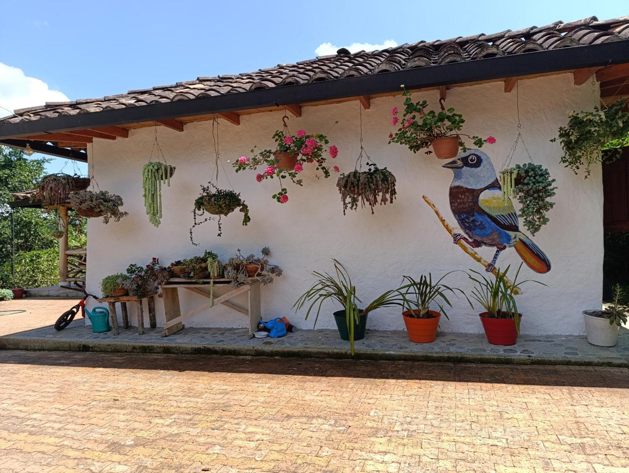 Casa Entera Finca Cometa San Agustín Extérieur photo